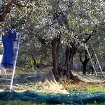 Daire Charmante Mit Privatem Garten By Interhome Lamporecchio